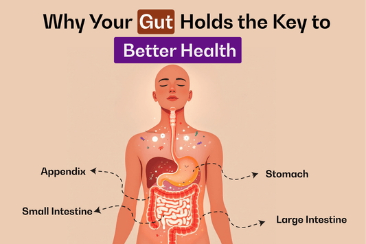 Why Your Gut Holds the Key to Better Health - Nutty Village