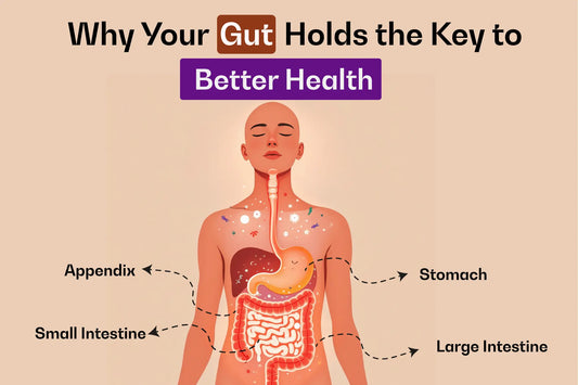 Why Your Gut Holds the Key to Better Health - Nutty Village
